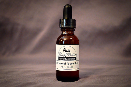 Tincture of Teasel Root