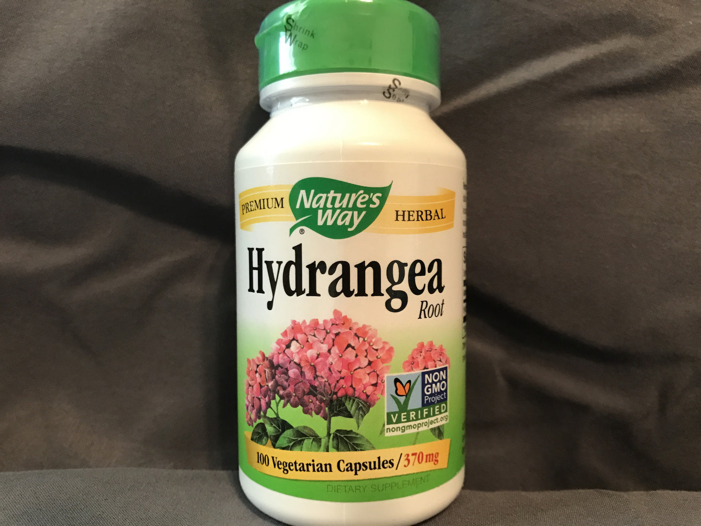 Hydrangea